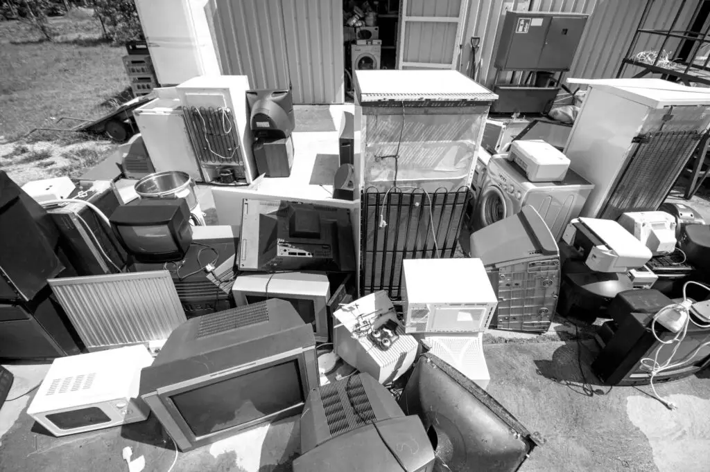 2 dreamstime l 188996848 scaled